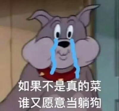 沙雕表情包
“记得每天保持微笑鸭”