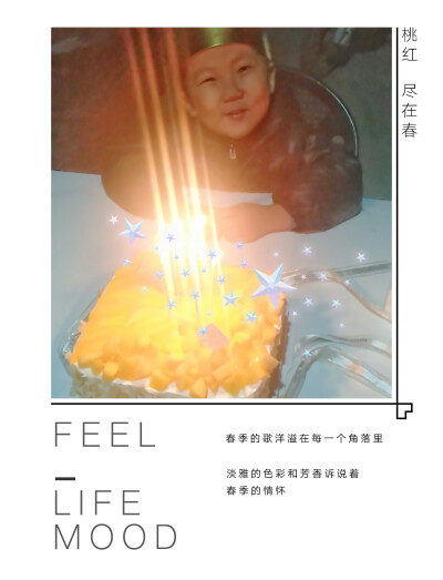 老弟生日快乐！（为了吃蛋糕而被迫贺喜的我）