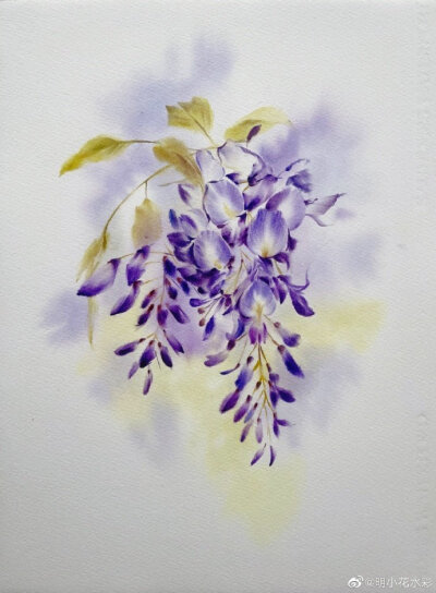 串紫轻浮 by@明小花水彩 