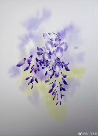 串紫轻浮 by@明小花水彩 