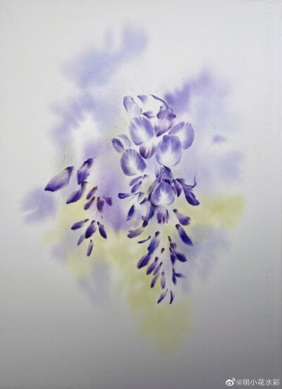 串紫轻浮 by@明小花水彩 