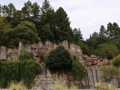 景德镇植物园（属实有些残破，咳咳咳，是有年代感）