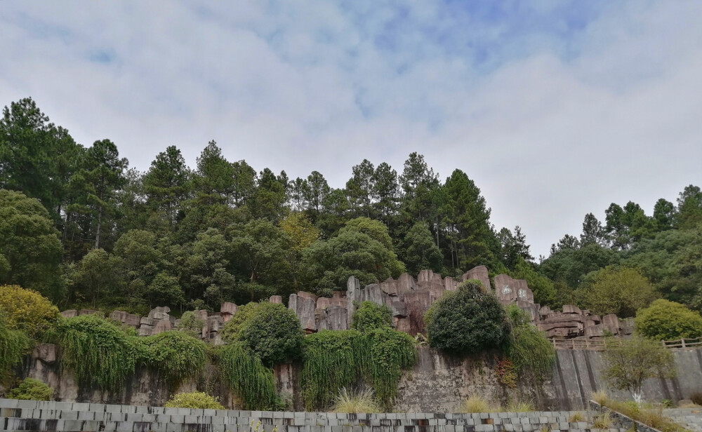 景德镇植物园（属实有些残破，咳咳咳，是有年代感）