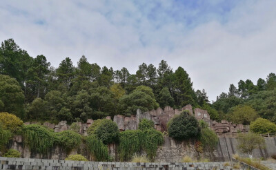 景德镇植物园（属实有些残破，咳咳咳，是有年代感）