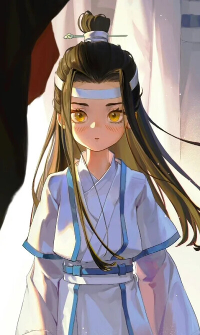 魔道祖师