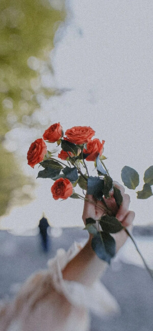 玫瑰花会枯萎，但爱不会 ✔