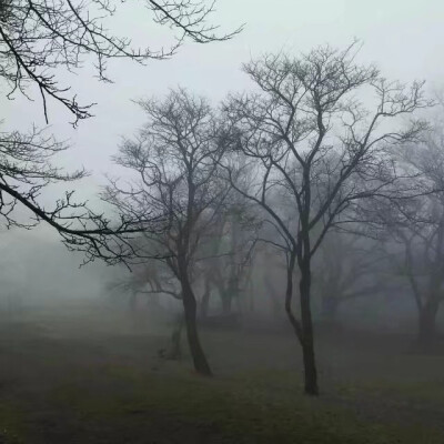 空间背景 侵删