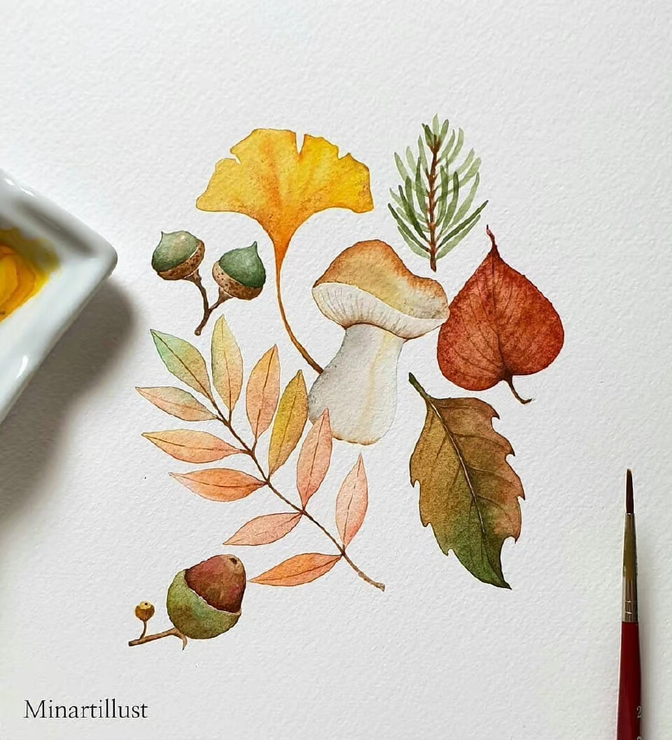 植物绘， ins：minartillust ​​​