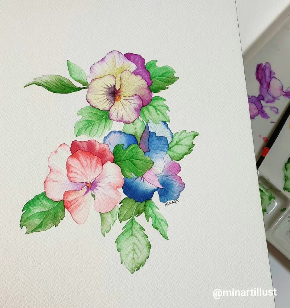 植物绘， ins：minartillust ​​​