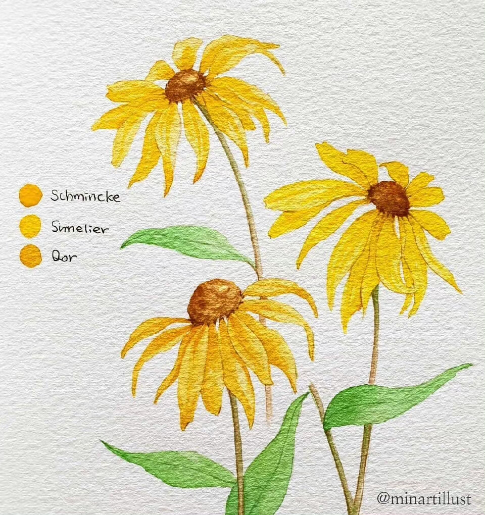 植物绘， ins：minartillust ​​​