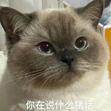 猫咪表情包 可爱