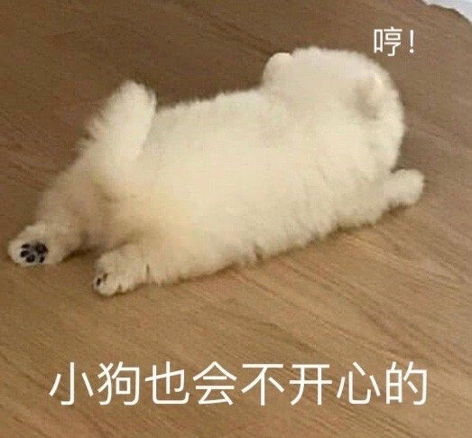 表情包
