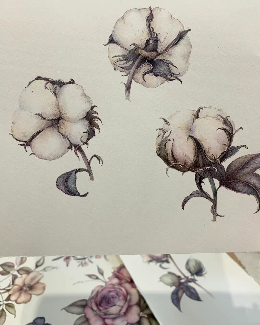 植物绘，画者：Marina Pravnik ​