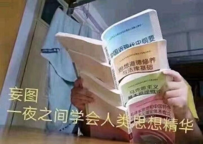 学习表情包