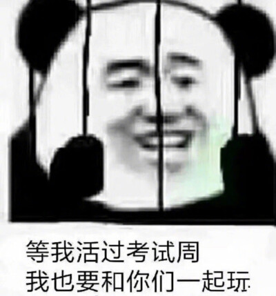 学习表情包