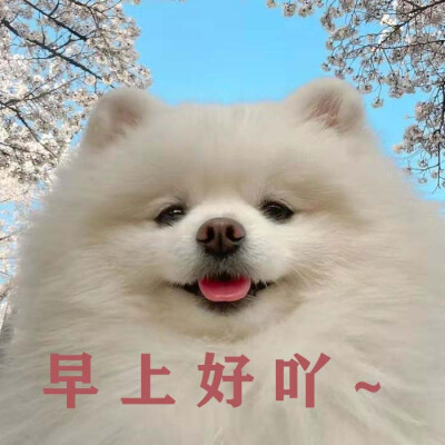 又是敷衍的一天呢(͔▪̆ω▪̆)͕