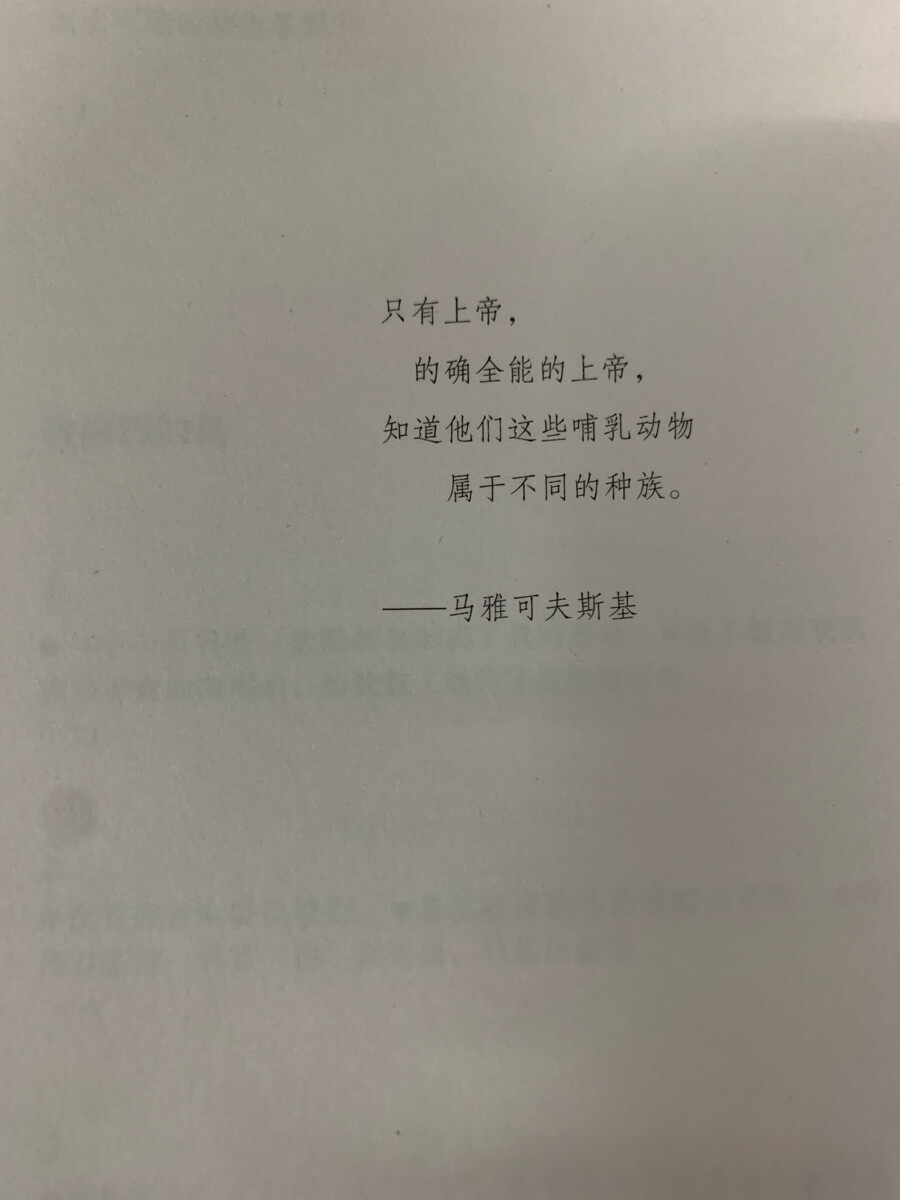 《被涂污的鸟》