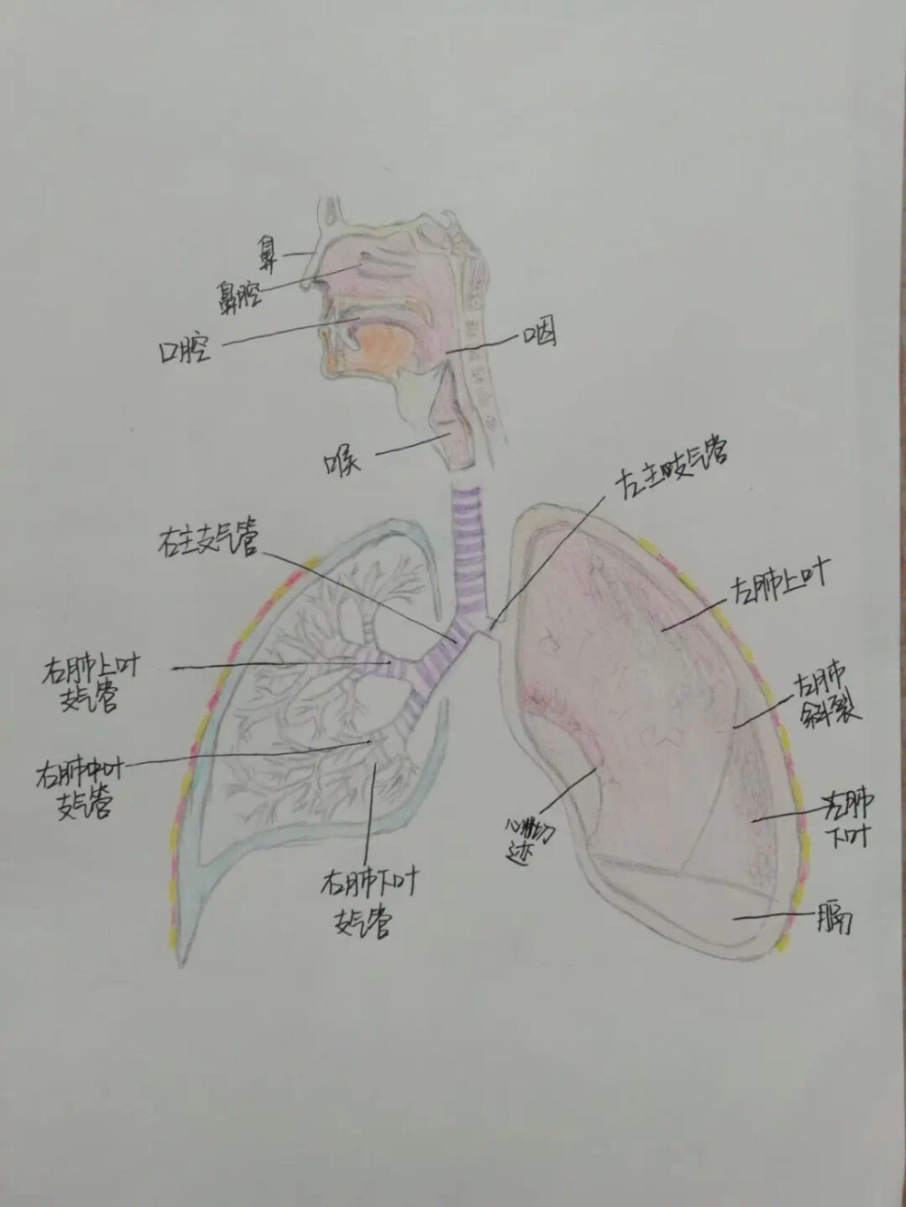 很好的学习