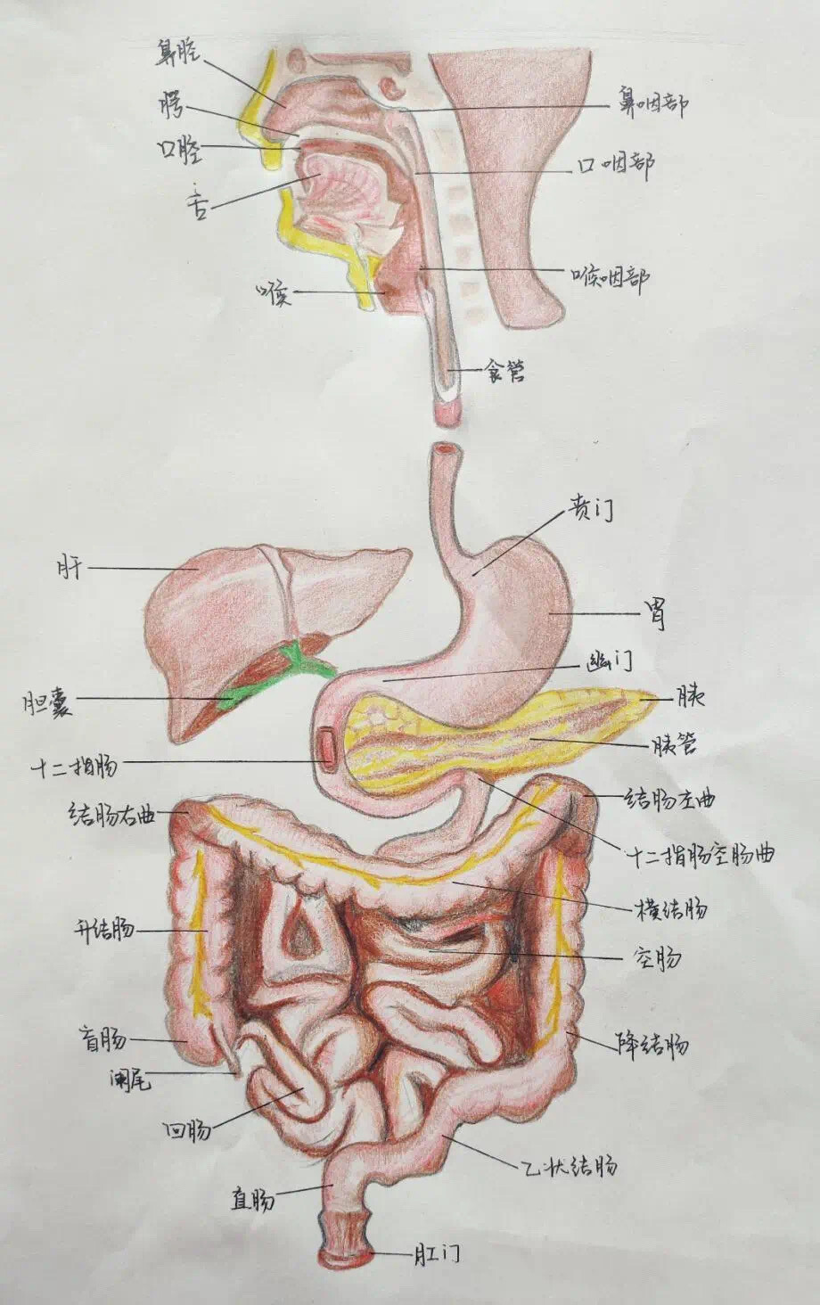 很好的学习