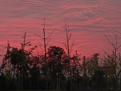 夕阳西下，我们的影子在舞动