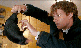 怎么说看完神奇动物在哪里，贼喜欢我们学院的纽特学长了呜呜TT