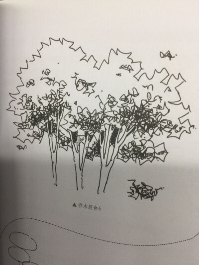 钢笔画表现技法