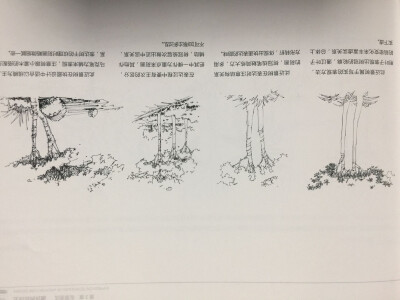 钢笔画表现技法