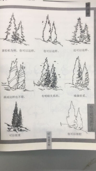 钢笔画表现技法