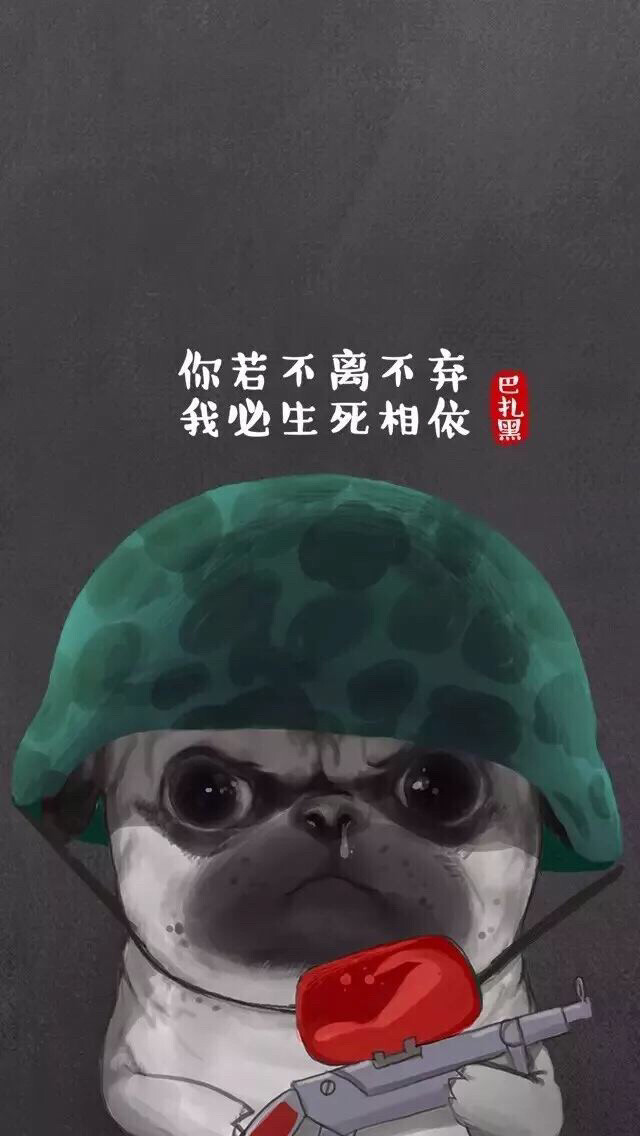 吾皇万睡