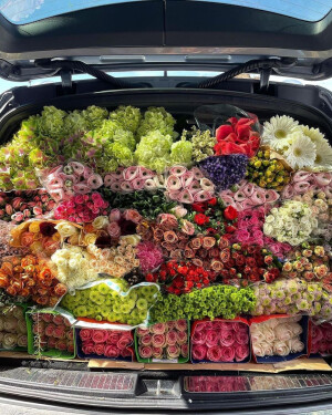 “秋有三五七言，我有几车浪漫”