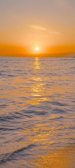 人间平庸你是眸间温柔，心怀浪漫珍惜岁月日落。
壁纸‖日落‖维尼熊‖浪漫