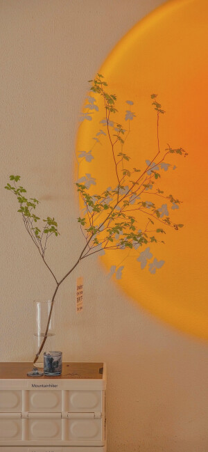 人间平庸你是眸间温柔，心怀浪漫珍惜岁月日落。
壁纸‖日落‖维尼熊‖浪漫