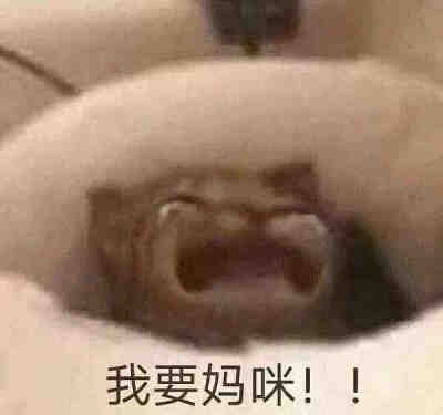 我要我妈妈