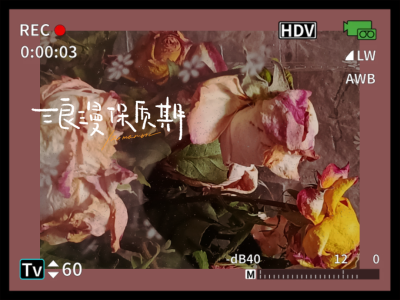 遗弃在角落的浪漫情怀