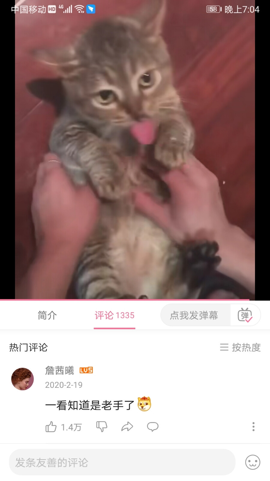 呕吐猫猫