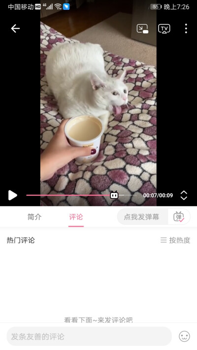 呕吐猫猫