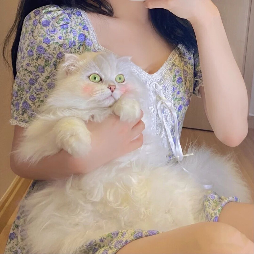 女生头像 抱猫