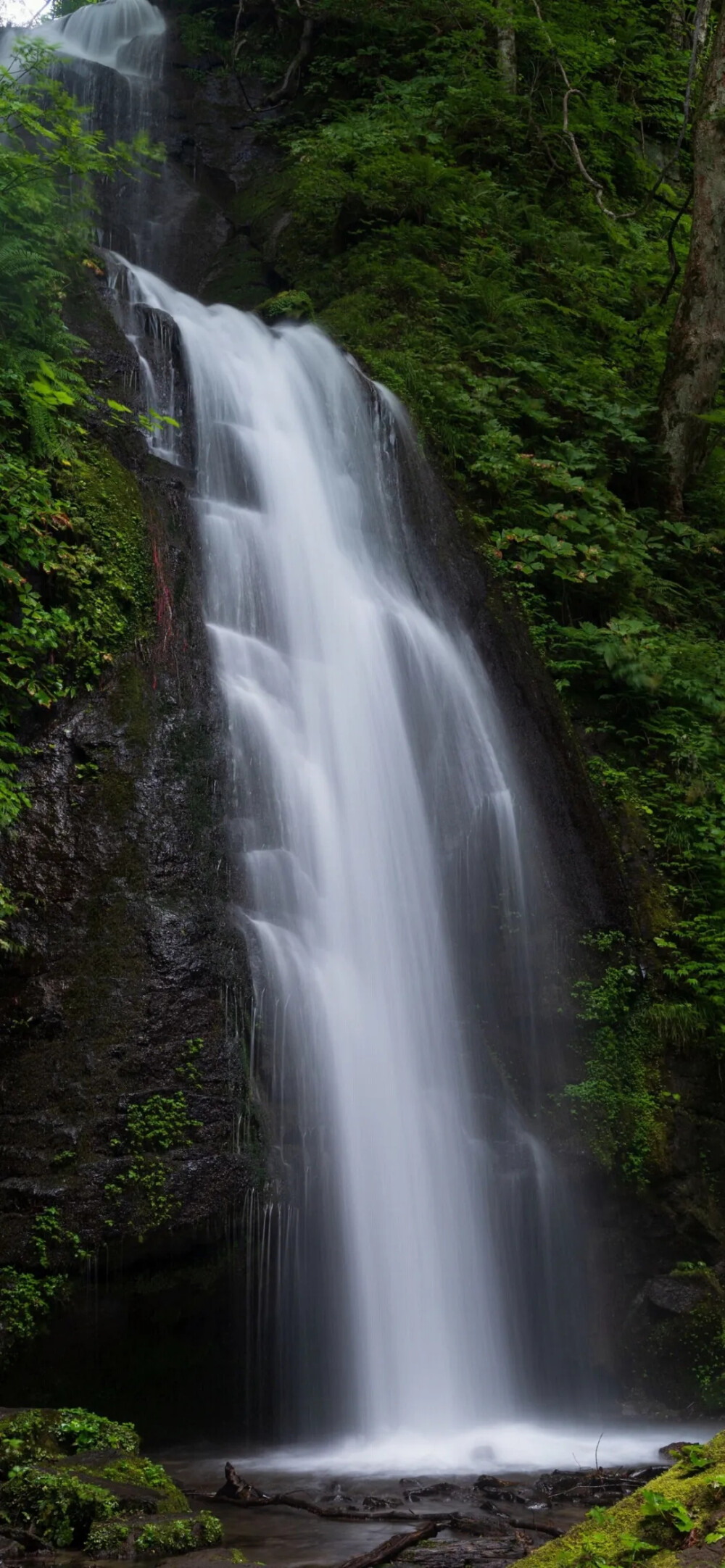 风景壁纸