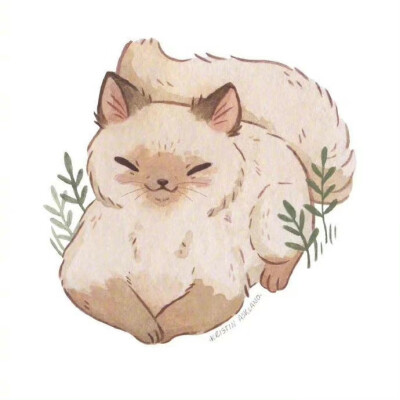 猫咪插画，via：Kristin Ashland ​​​