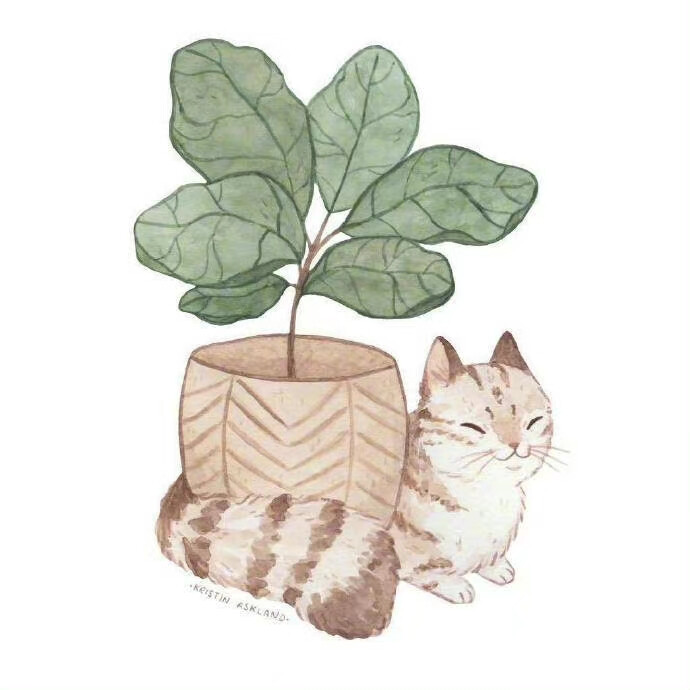 猫咪插画，via：Kristin Ashland ​​​