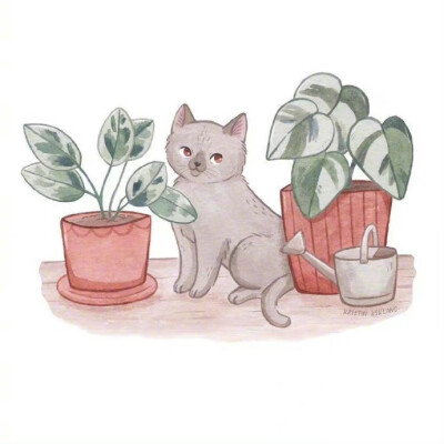 猫咪插画，via：Kristin Ashland ​​​