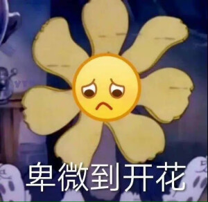 就是这么爱表情