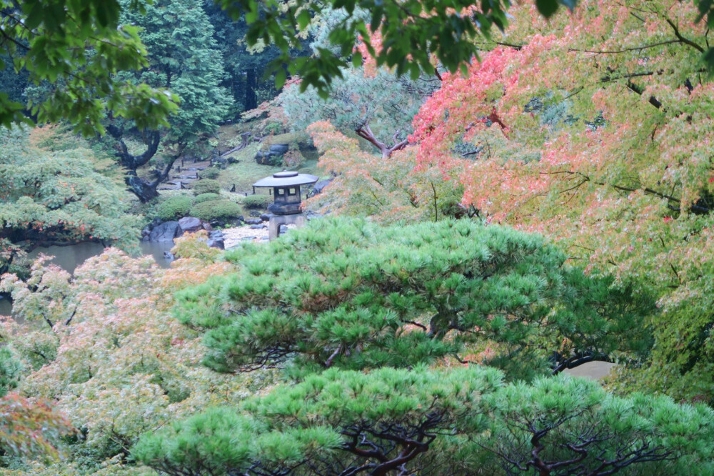 风景