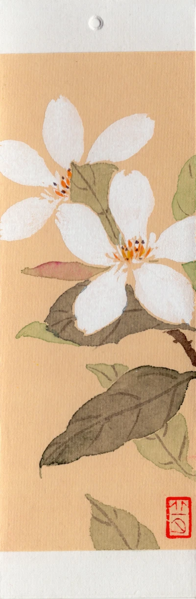 国画工笔植物素材