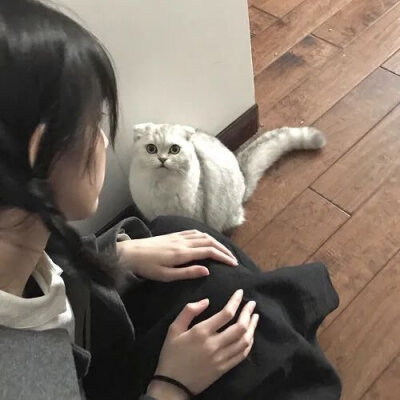 女生头像 抱猫