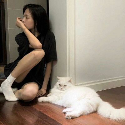 女生头像 抱猫