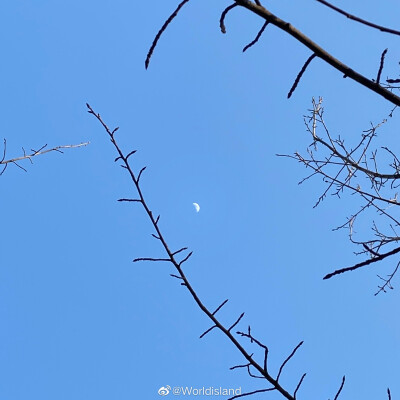 美丽风景
