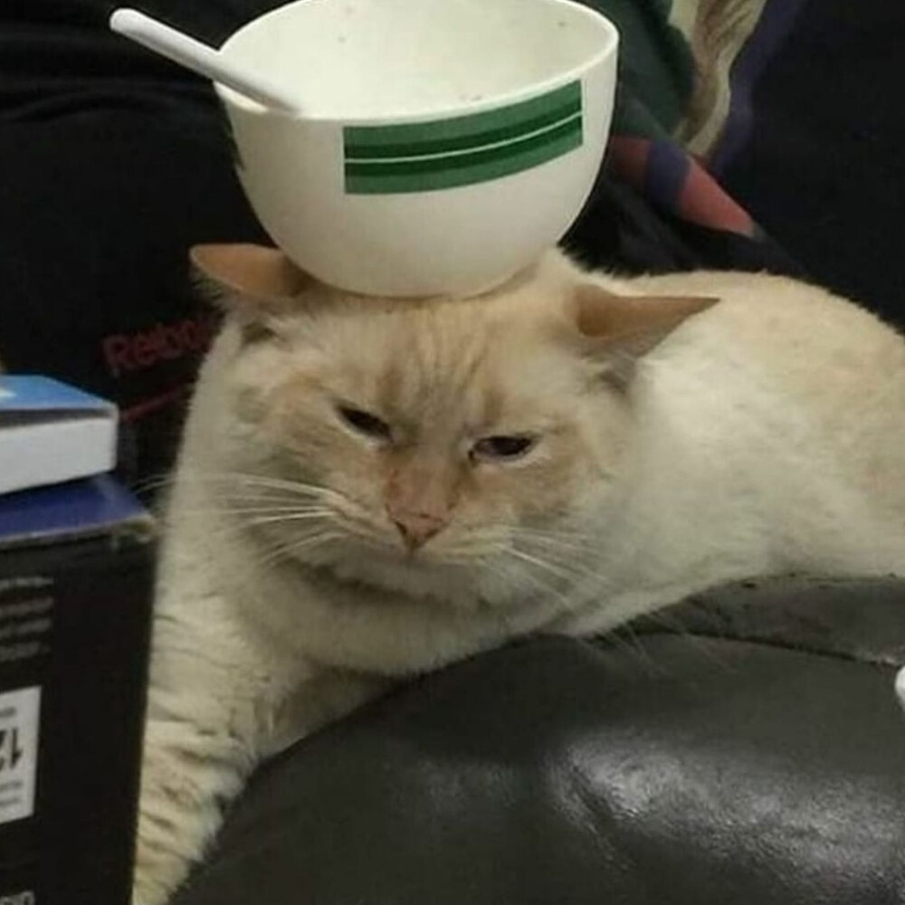 ˢʷᵉᵉᵗⁱᵉ