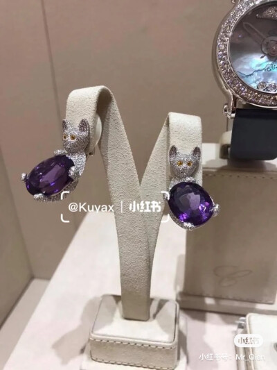 璀璨-小红书转载