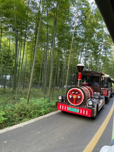 南山竹海一日游